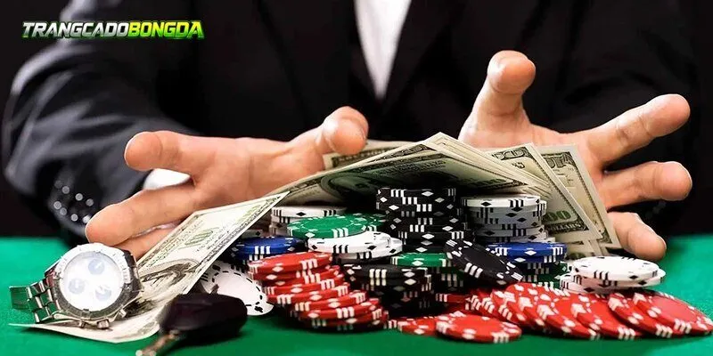Zbet: Nhà Cái Đáng Thử Với Điều Khoản Rõ Ràng Nhất 2026